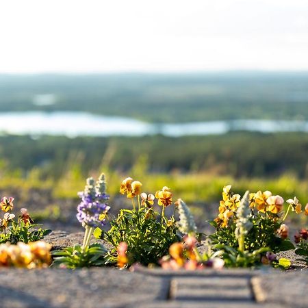 Holiday In Lapland - Levi Postintie 3B 322 Екстер'єр фото